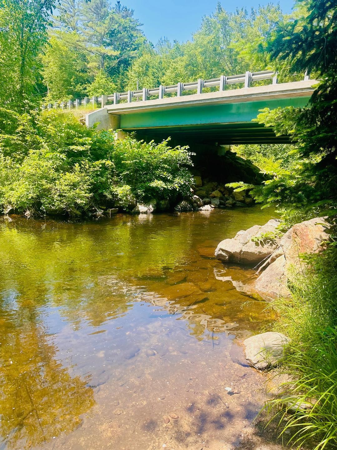 0 Suncook Valley Road Center Barnstead, NH 03225 - Photo 8 of 28