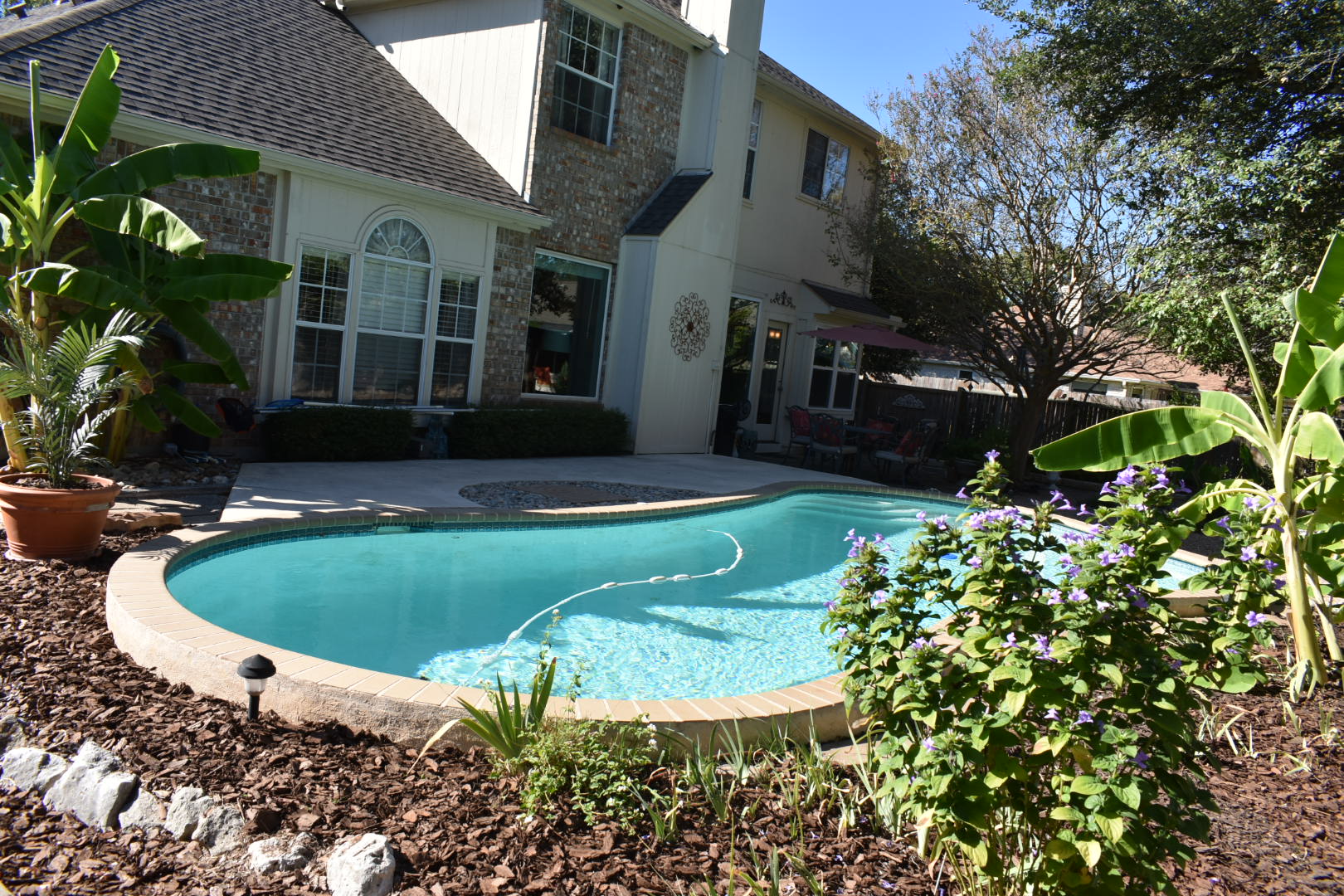 404 Cripple Creek Road Cedar Park, TX 78613 - Photo 3 of 39 View of swimming pool featuring a patio
