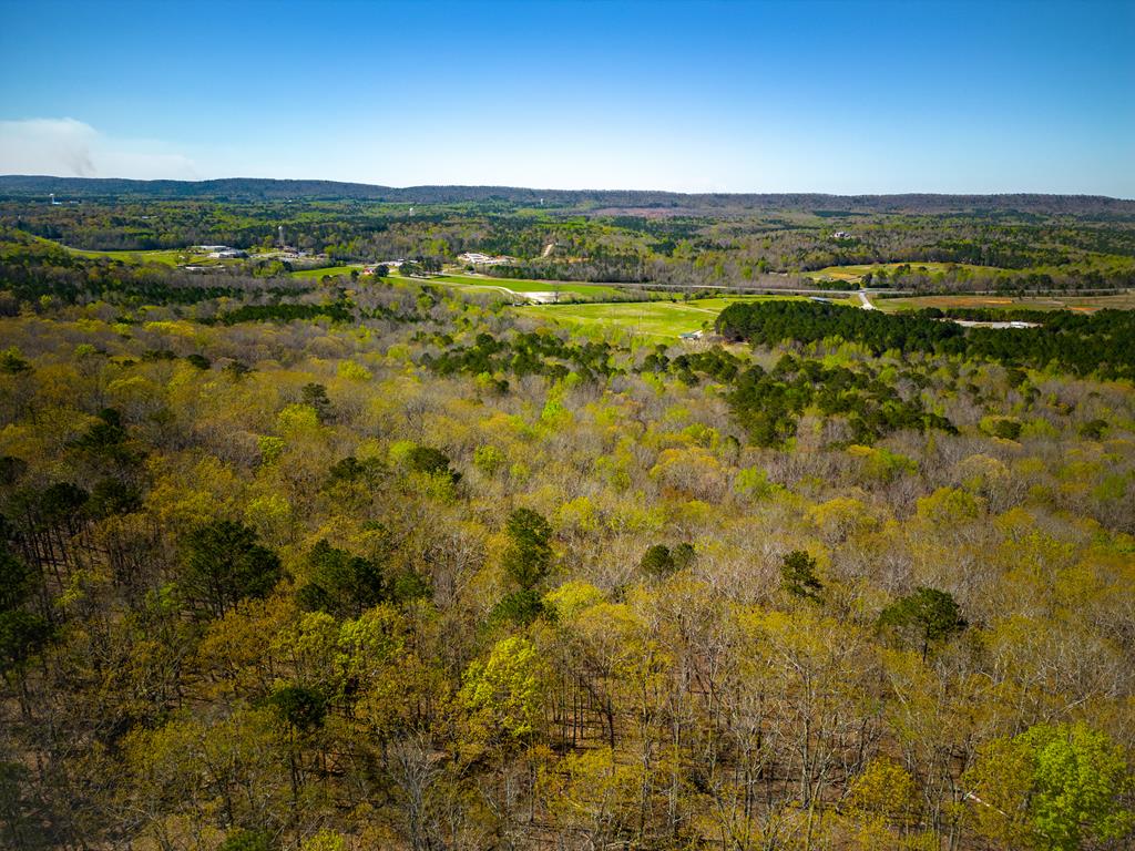 27.2-ac Barnes Mill Road Hamilton, GA 31811 - Photo 20 of 29 Gallery Image 20