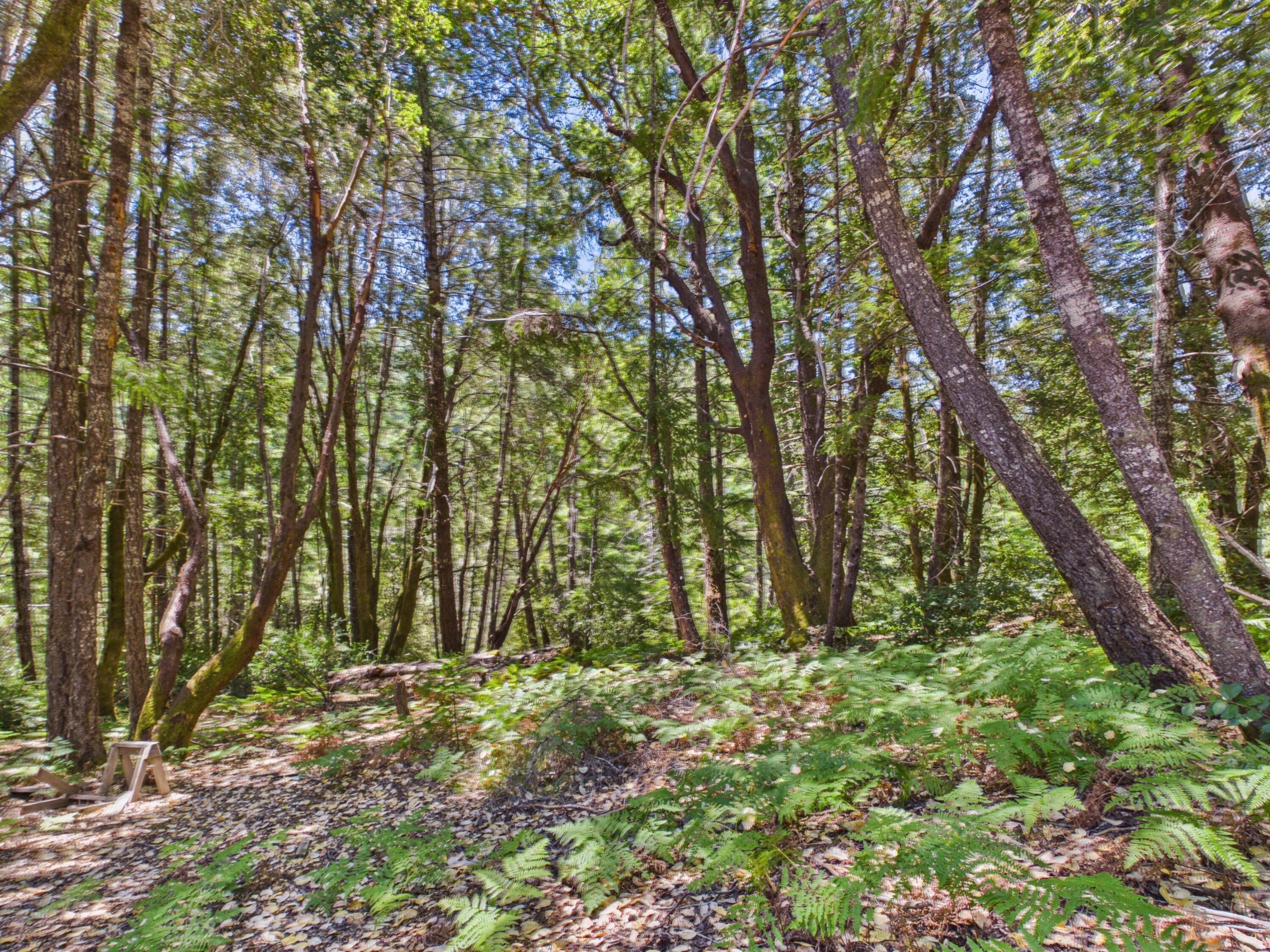 1055 Goodman Ranch Road Garberville, CA 95542 - Photo 52 of 63