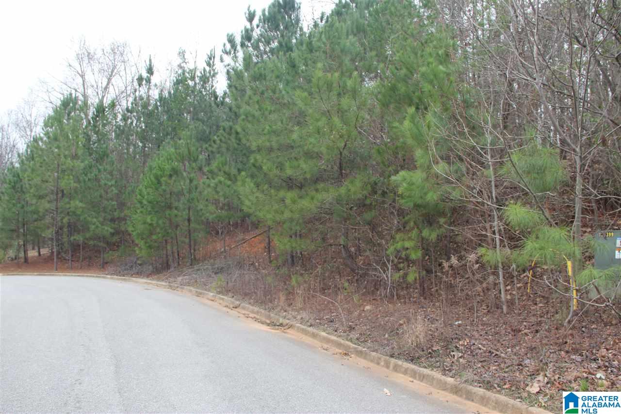 0 Hickory Valley Road, Unit 17 Trussville, AL 35173 - Photo 1 of 1