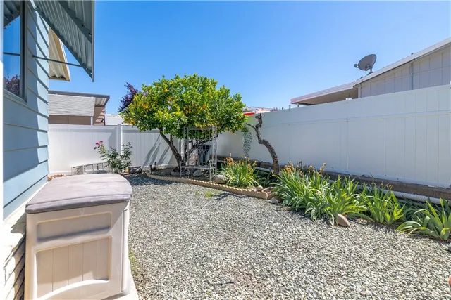 a potted plant sitting in front of a house