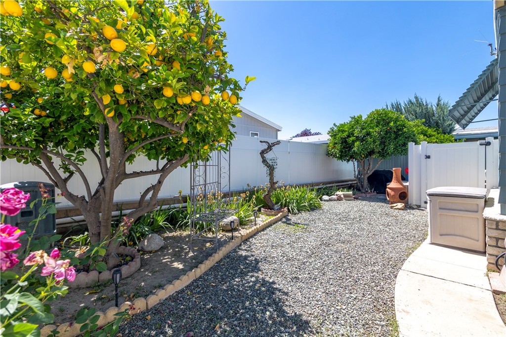 2230 Lake Park Drive, Unit 170 San Jacinto, CA 92583 - Photo 33 of 40 a backyard of a house with lots of green space