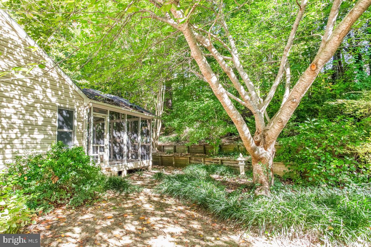 256 Pendleton Court Arnold, MD 21012 - Photo 33 of 37 Mature Plantings