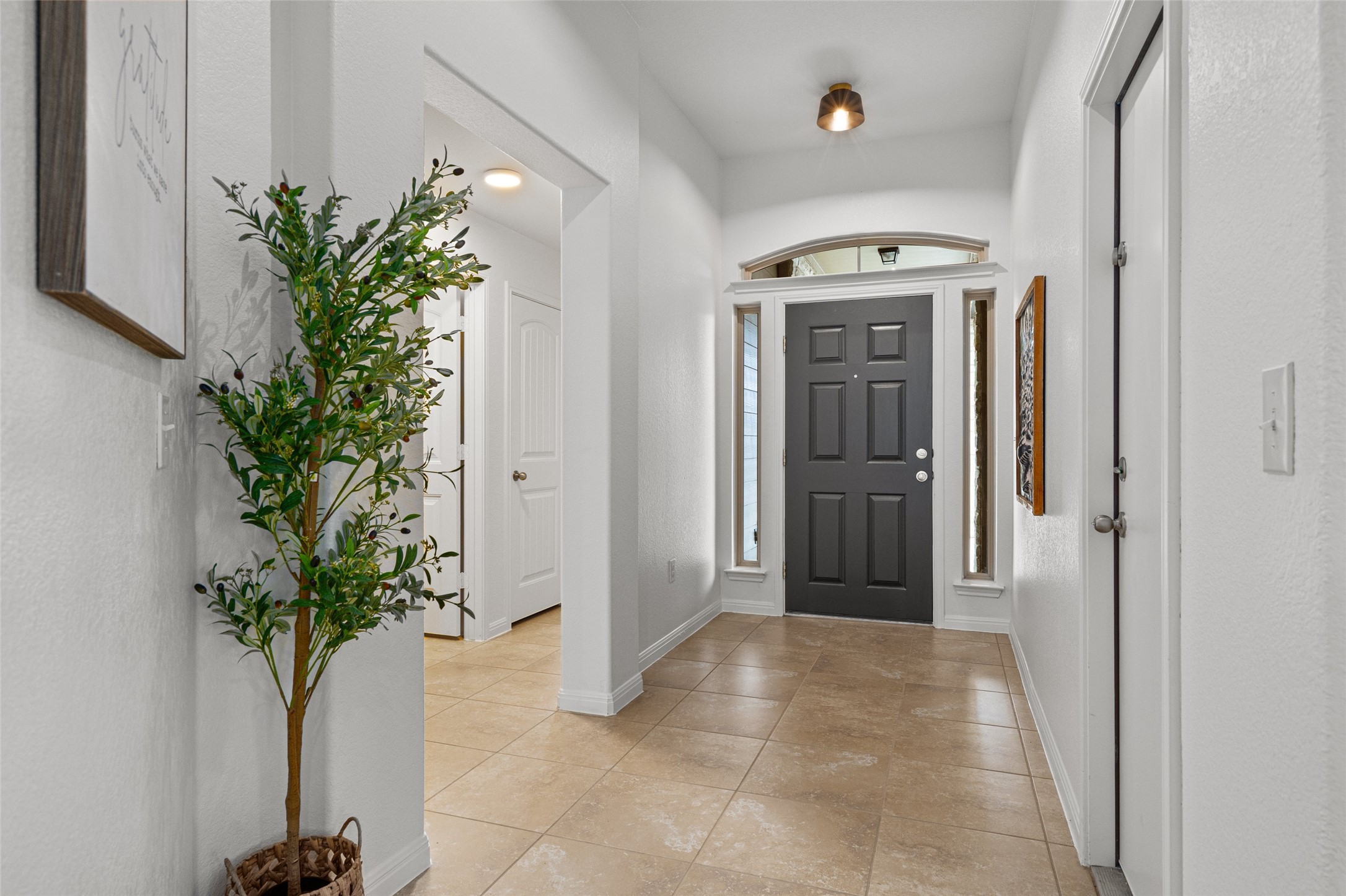 705 Schefer Street Leander, TX 78641 - Photo 3 of 26 a view of entryway with wooden floor