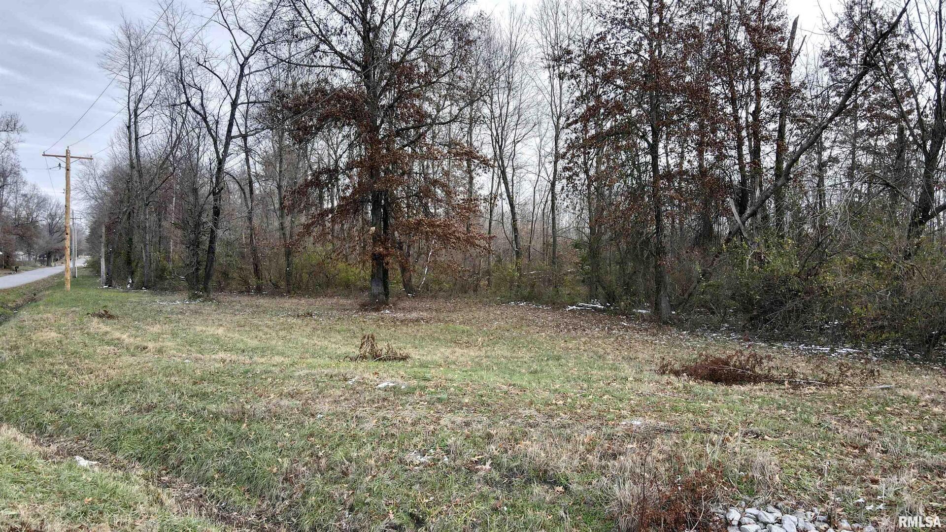 10200 Country Club Road West Frankfort, IL 62896 - Photo 2 of 4 a view of outdoor space with trees