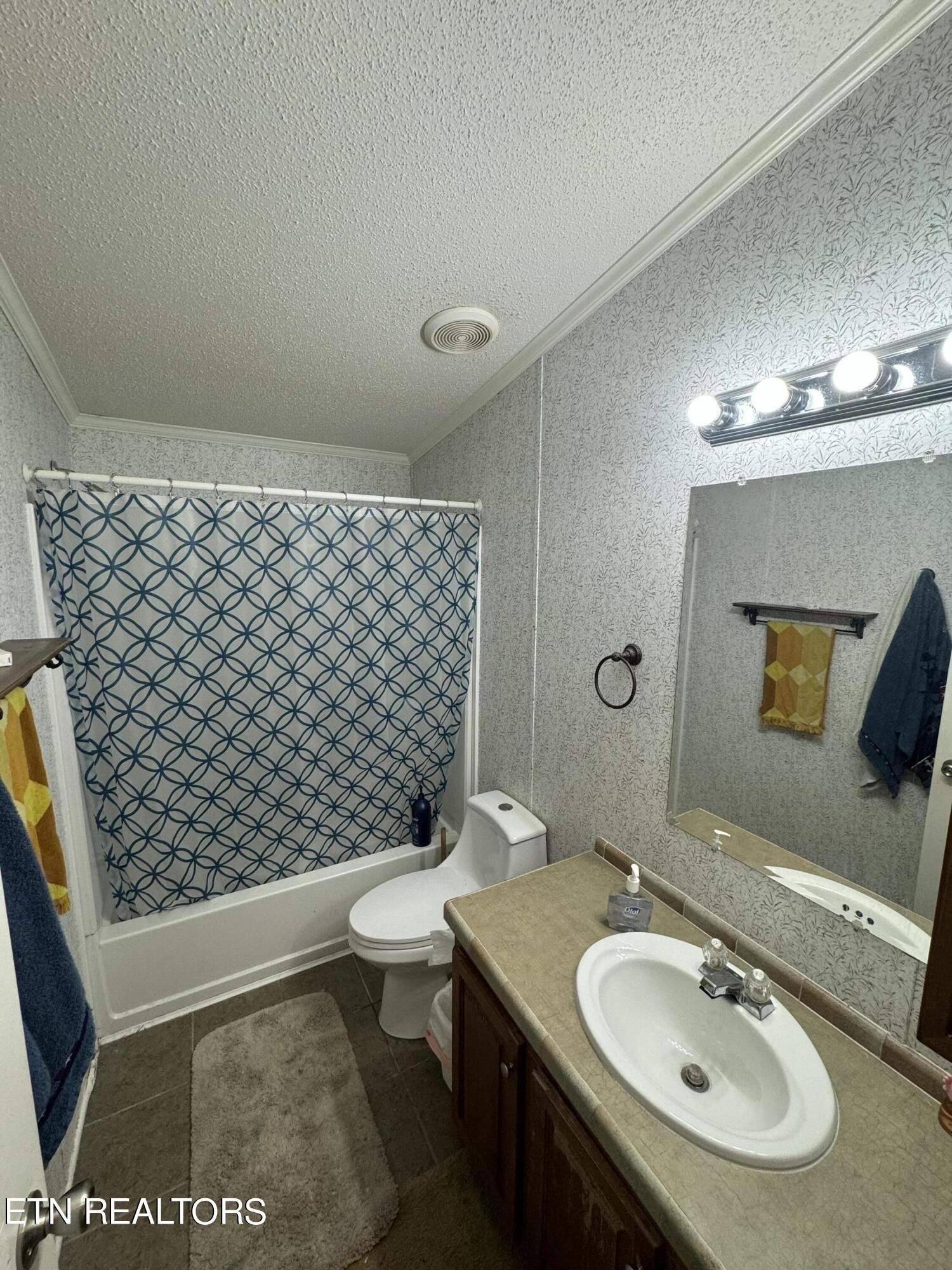 831 Marble Hill Road Friendsville, TN 37737 - Photo 8 of 9 Gallery Image 8