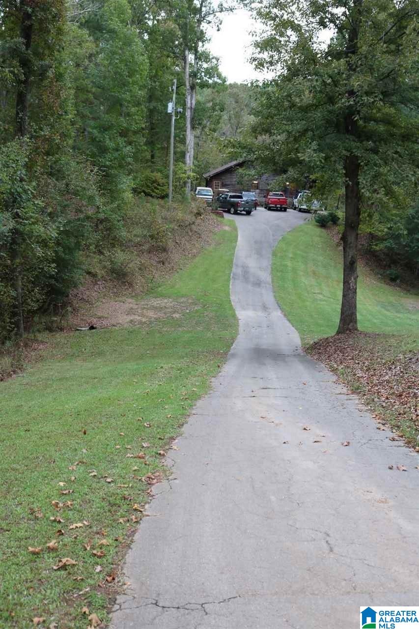 9018 Manley Vines Camp Road Bessemer, AL 35023 - Photo 8 of 46