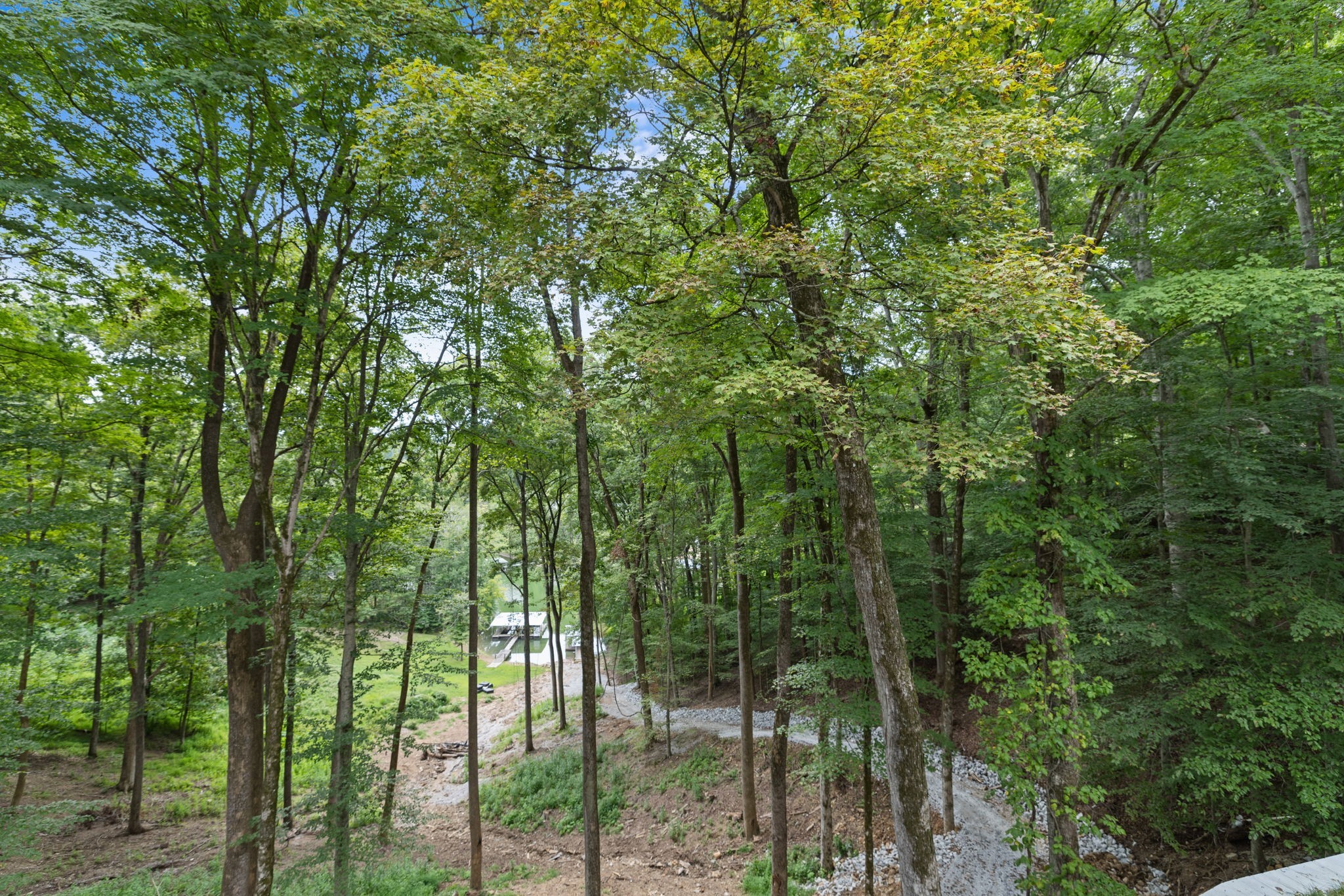 1530 Ridgeview Run Lynchburg, TN 37352 - Photo 44 of 67 a view of forest