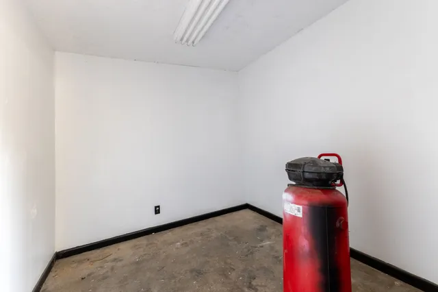 a view of a yard with plants and a large tree