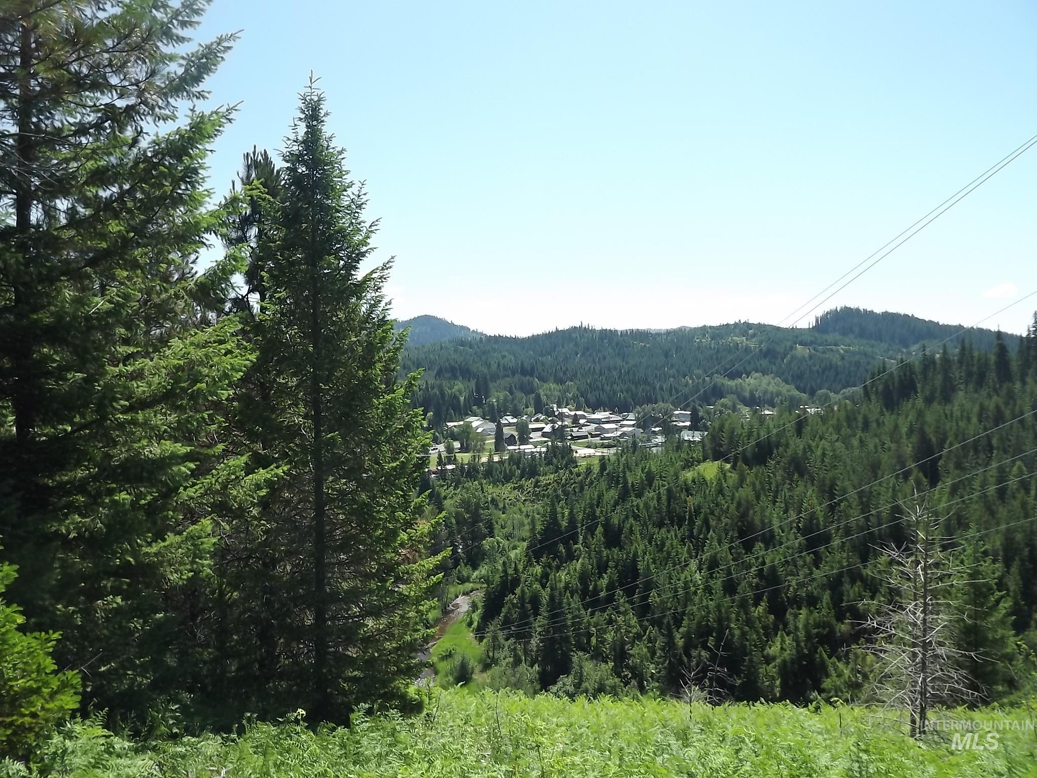 View of mountain backdrop with a forest