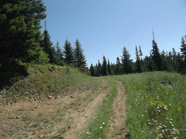 $525,000 | 11 Pierce Id 83546, Pierce, ID 83546