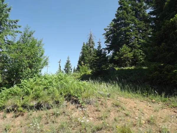 $525,000 | 11 Pierce Id 83546, Pierce, ID 83546