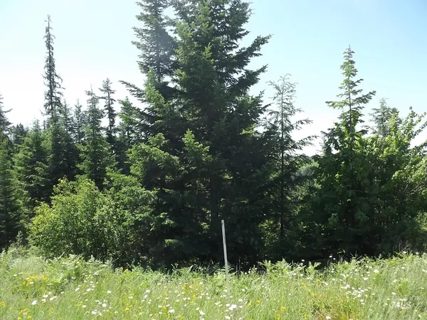 $525,000 | 11 Pierce Id 83546, Pierce, ID 83546