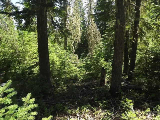 $525,000 | 11 Pierce Id 83546, Pierce, ID 83546