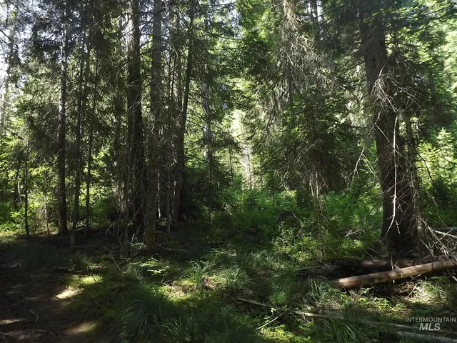 $525,000 | 11 Pierce Id 83546, Pierce, ID 83546