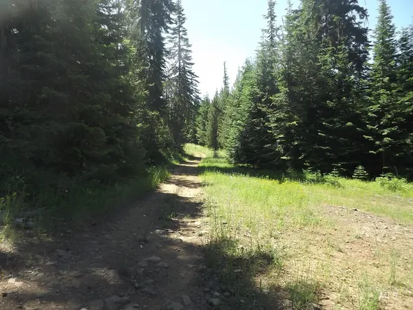 $525,000 | 11 Pierce Id 83546, Pierce, ID 83546