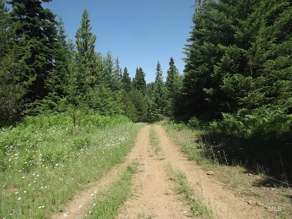 $525,000 | 11 Pierce Id 83546, Pierce, ID 83546