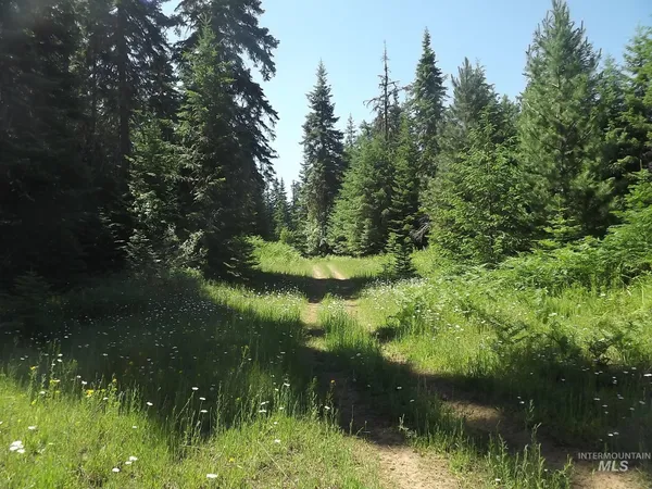 $525,000 | 11 Pierce Id 83546, Pierce, ID 83546