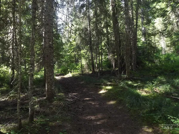 $525,000 | 11 Pierce Id 83546, Pierce, ID 83546