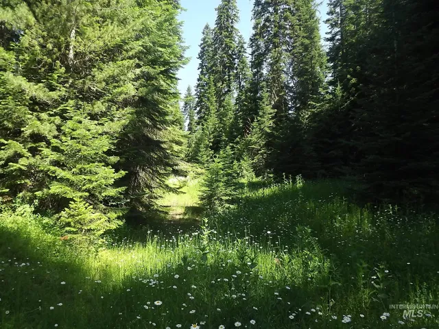 $525,000 | 11 Pierce Id 83546, Pierce, ID 83546