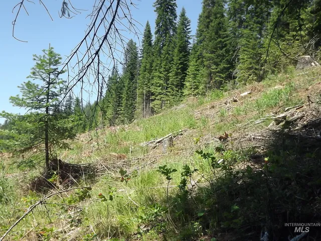 $525,000 | 11 Pierce Id 83546, Pierce, ID 83546