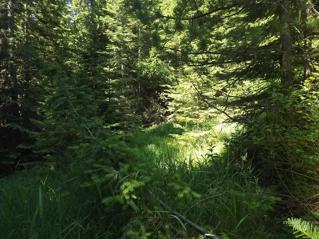 $525,000 | 11 Pierce Id 83546, Pierce, ID 83546