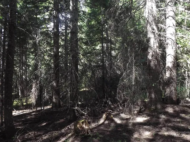 $525,000 | 11 Pierce Id 83546, Pierce, ID 83546