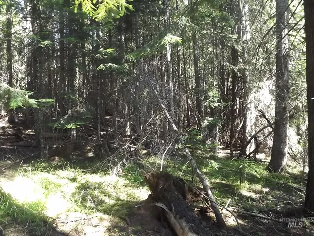 $525,000 | 11 Pierce Id 83546, Pierce, ID 83546