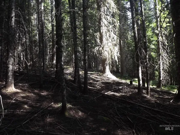 $525,000 | 11 Pierce Id 83546, Pierce, ID 83546