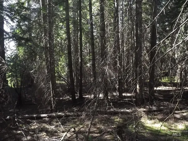 $525,000 | 11 Pierce Id 83546, Pierce, ID 83546