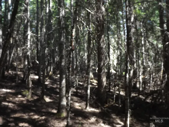 $525,000 | 11 Pierce Id 83546, Pierce, ID 83546