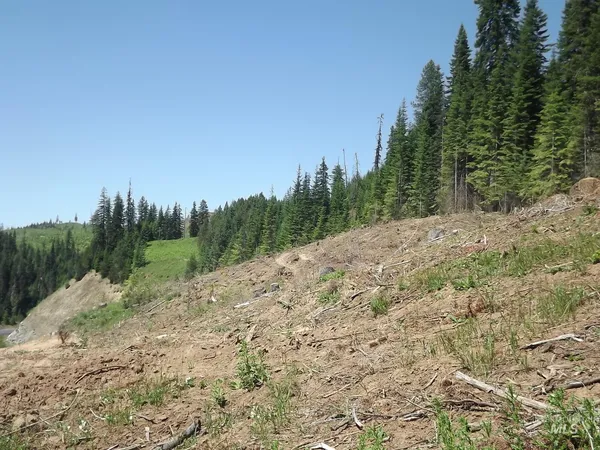 $525,000 | 11 Pierce Id 83546, Pierce, ID 83546