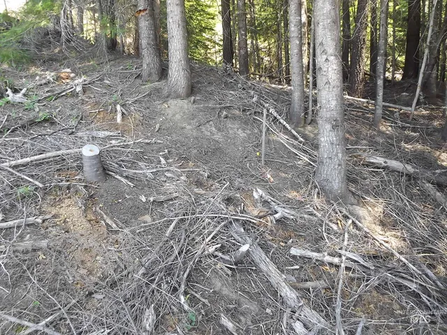 $525,000 | 11 Pierce Id 83546, Pierce, ID 83546