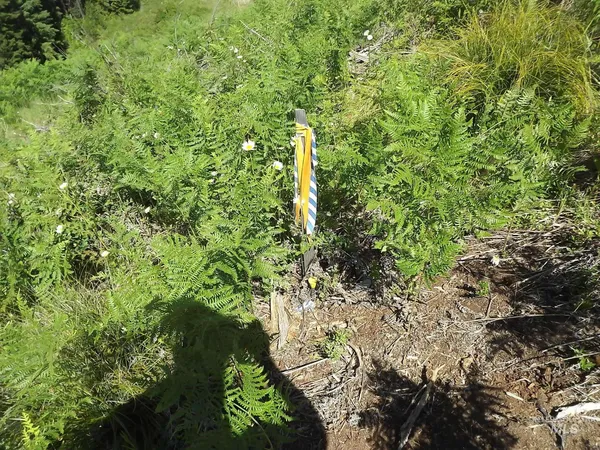 $525,000 | 11 Pierce Id 83546, Pierce, ID 83546