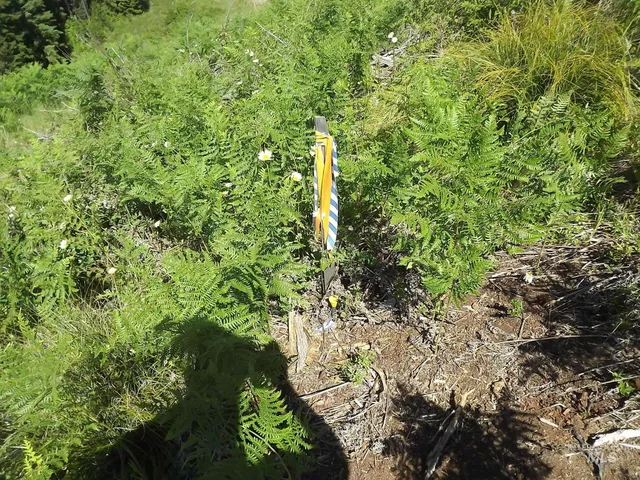 $525,000 | 11 Pierce Id 83546, Pierce, ID 83546