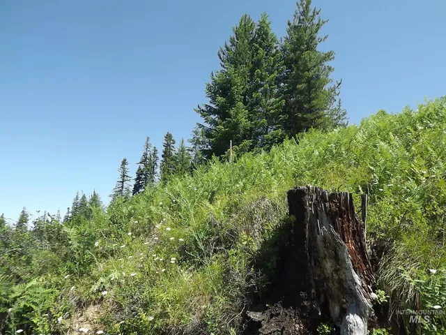 $525,000 | 11 Pierce Id 83546, Pierce, ID 83546