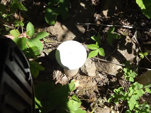 $525,000 | 11 Pierce Id 83546, Pierce, ID 83546