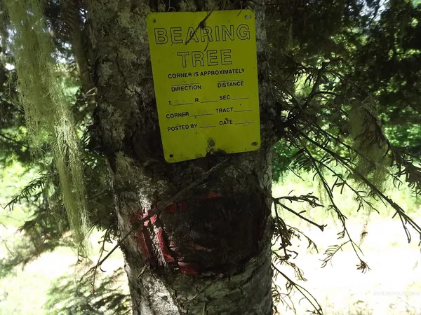 $525,000 | 11 Pierce Id 83546, Pierce, ID 83546