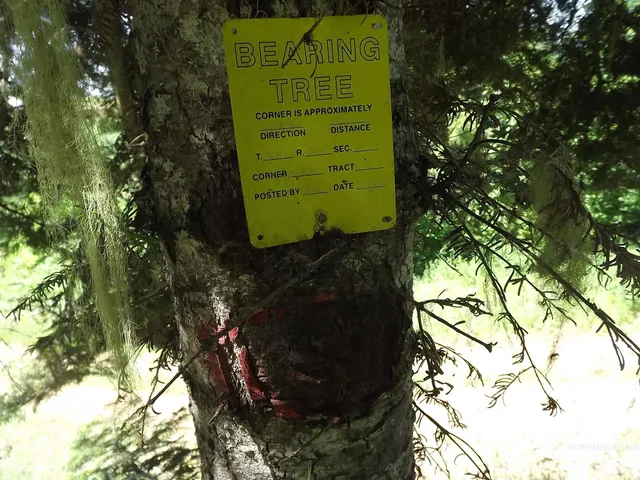 $525,000 | 11 Pierce Id 83546, Pierce, ID 83546