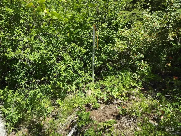 $525,000 | 11 Pierce Id 83546, Pierce, ID 83546