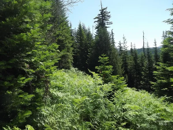 $525,000 | 11 Pierce Id 83546, Pierce, ID 83546