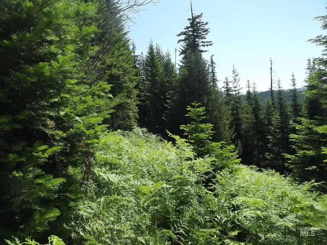 $525,000 | 11 Pierce Id 83546, Pierce, ID 83546