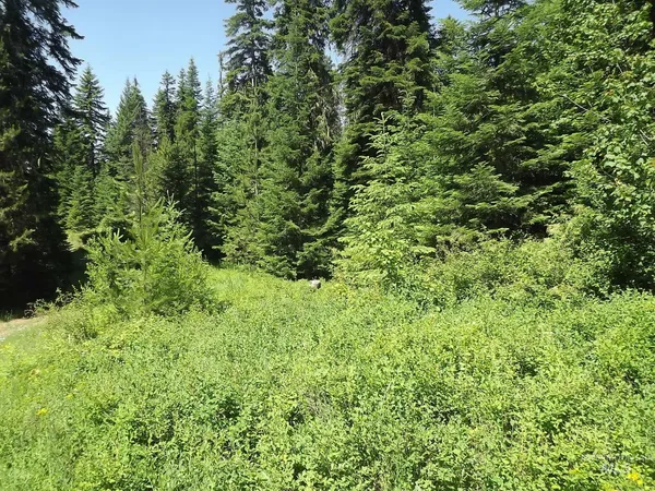 $525,000 | 11 Pierce Id 83546, Pierce, ID 83546