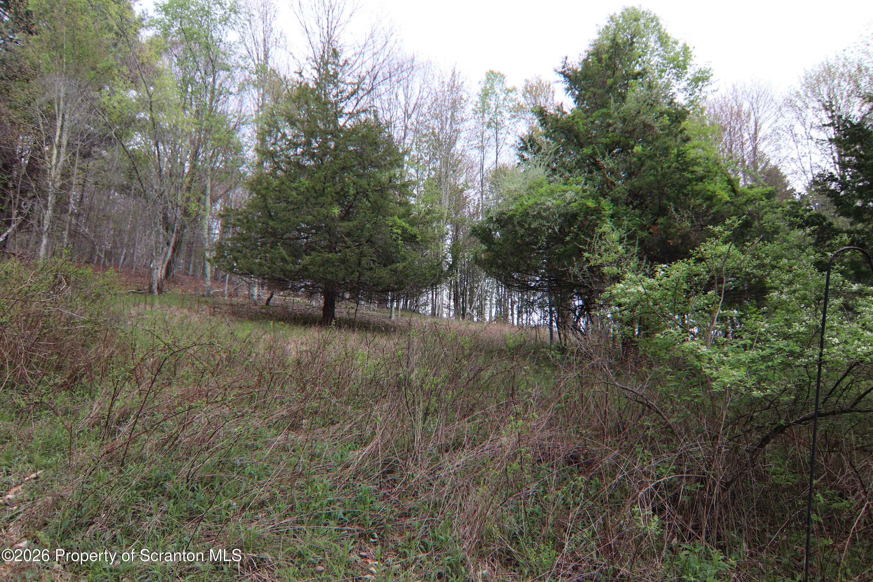 300 Pennsworth Hill Road Meshoppen, PA 18630 - Photo 4 of 38 a view of outdoor space and trees