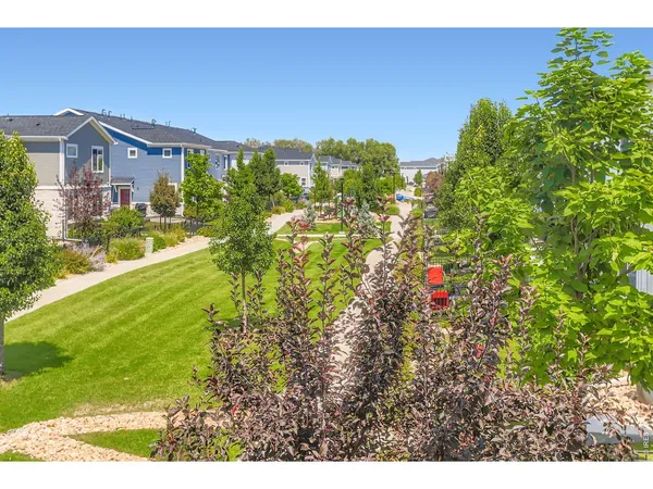 a view of a big yard and front of houses