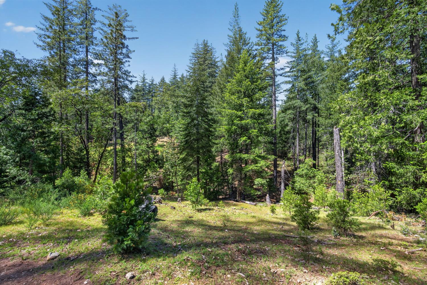 7207 Wentworth Springs Road Georgetown, CA 95634 - Photo 17 of 33