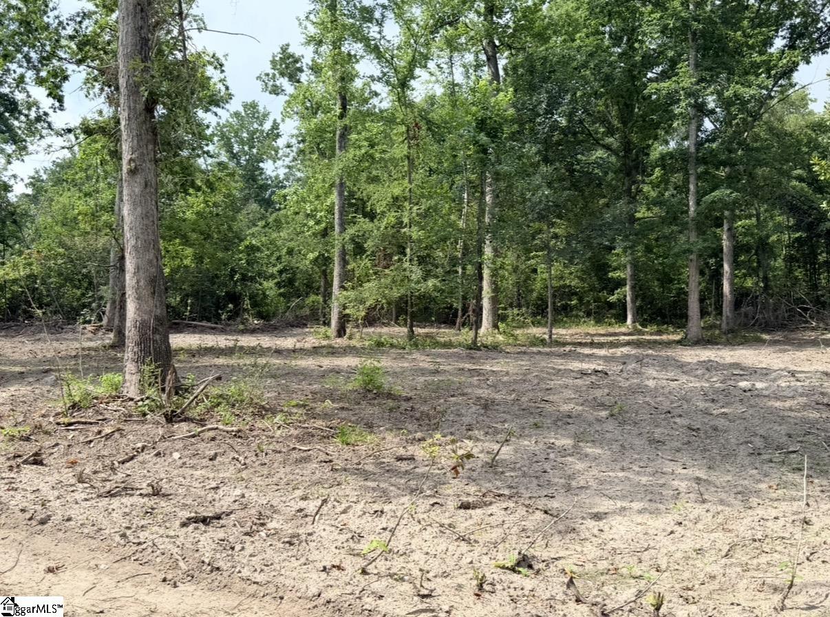 0 Lee Street Johnston, SC 29832 - Photo 12 of 21