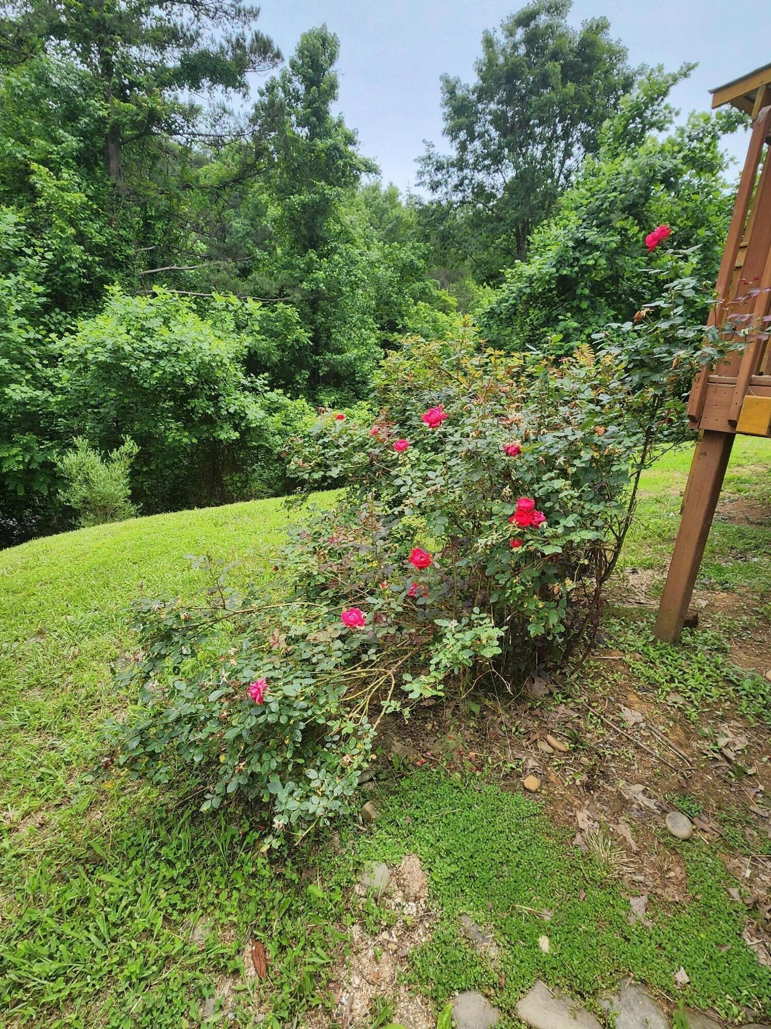342 Ingle Hollow Road Sevierville, TN 37876 - Photo 2 of 14 Gallery Image 2