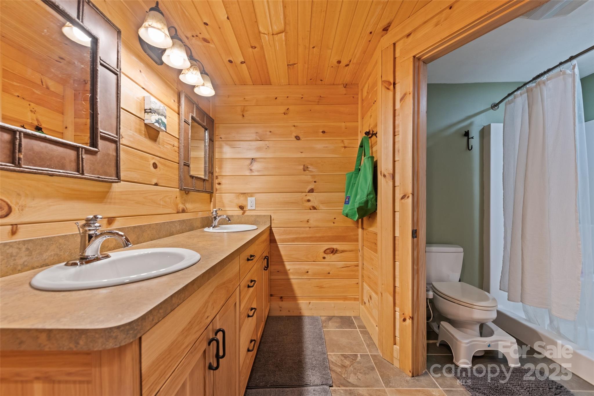 823 Turtle Creek Road Sylva, NC 28779 - Photo 20 of 38 a bathroom with a sink a toilet and shower